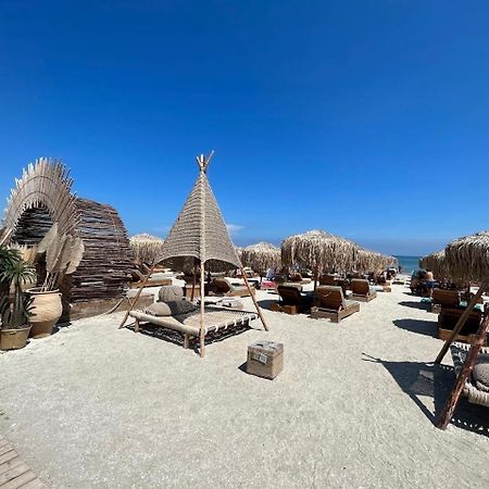 Dodo Apartament Mamaia Nord Нэводари Экстерьер фото